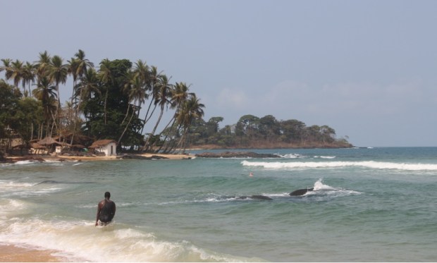 Bureh Beach is about 90 minutes from Freetown
