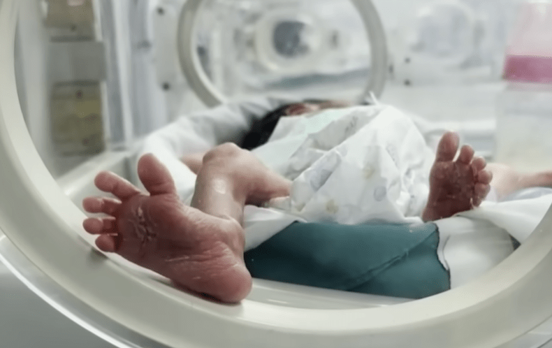 Doctor shares stories of Gaza neonatal unit